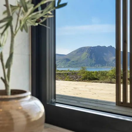 New! High End Lofoten 2 *